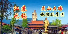日逼小骚货免费视频江苏无锡灵山大佛旅游风景区